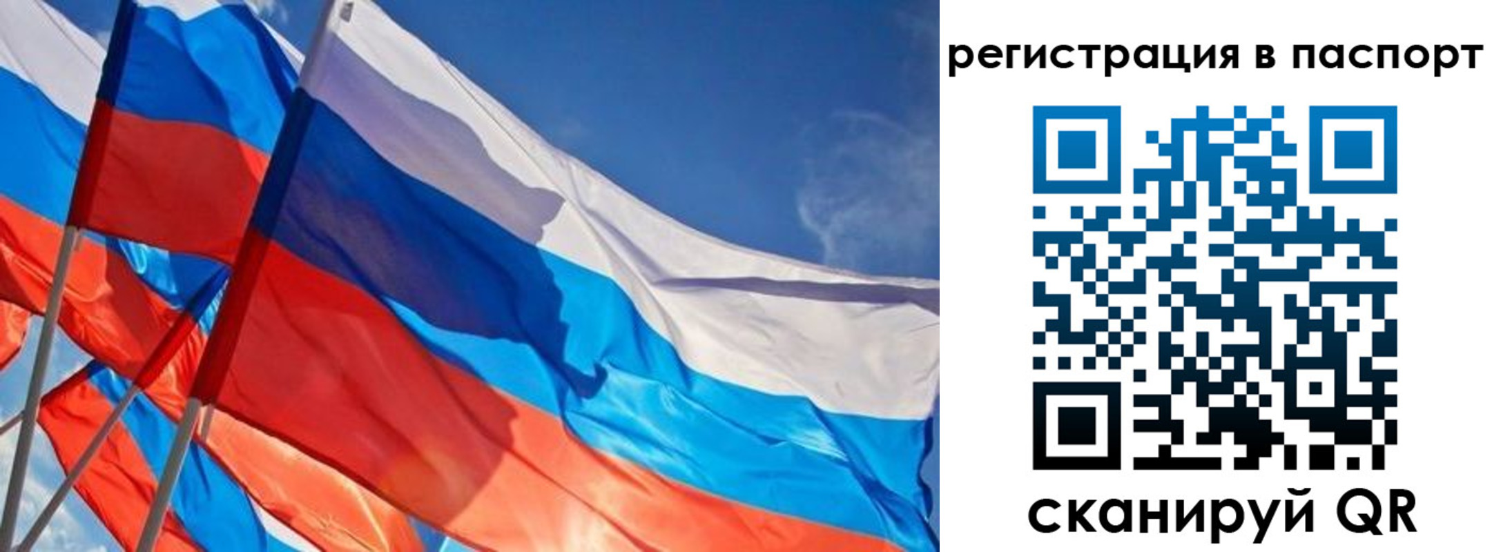 прописка поиск в Самаре